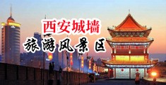 歐洲男人操女人操逼视屏中国陕西-西安城墙旅游风景区