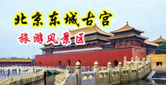 大鸡吧艹少妇小骚逼中国北京-东城古宫旅游风景区